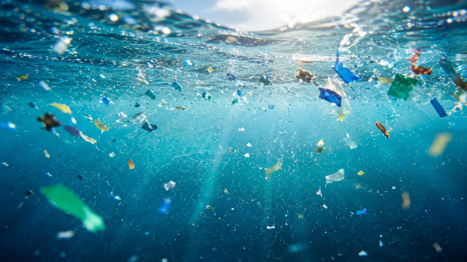 Microplastics Pollution