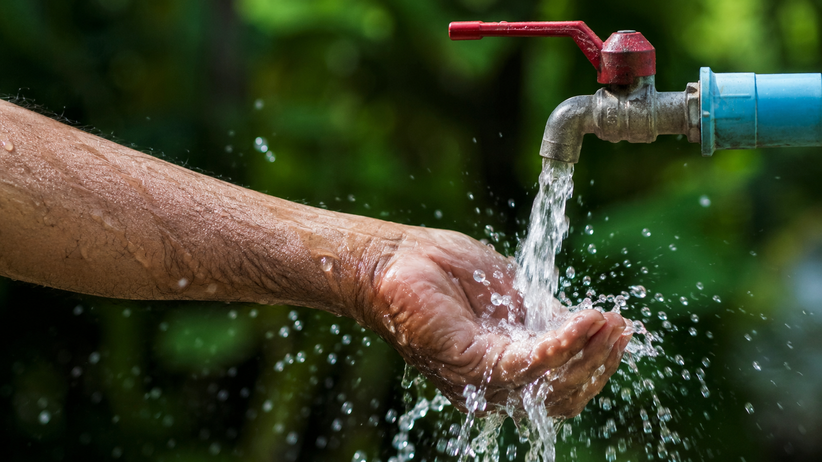 Singapore's Next Strategic Industry Isn't What You Think — It's Water